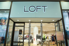 loft-1